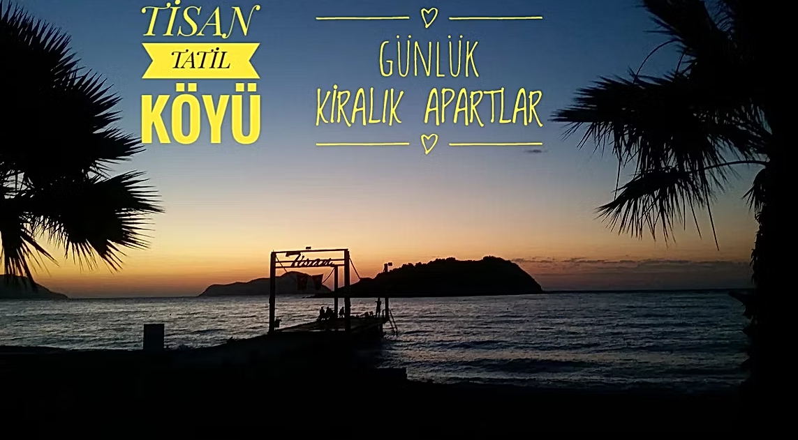 Tisan sahilinde palmiye ağaçları arasından gün batımı manzarası